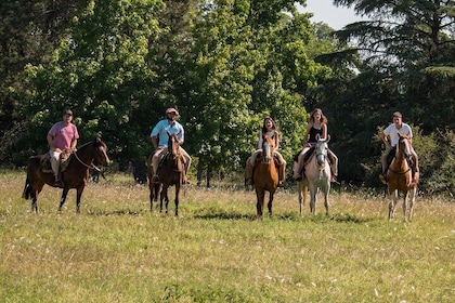 Field day in stay Agropassion