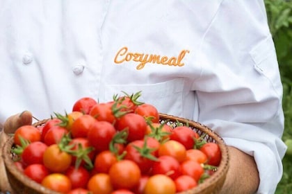 Dairy-Free Sicilian Cooking Class With Wine (4-Course Meal)