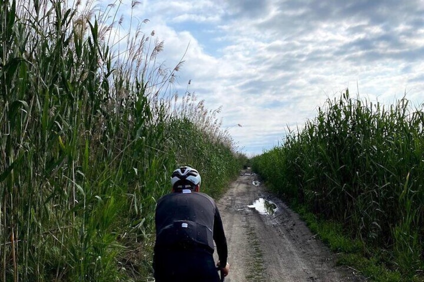 The Marjal de Pego-Oliva is the perfect area to enjoy the Gravel bike