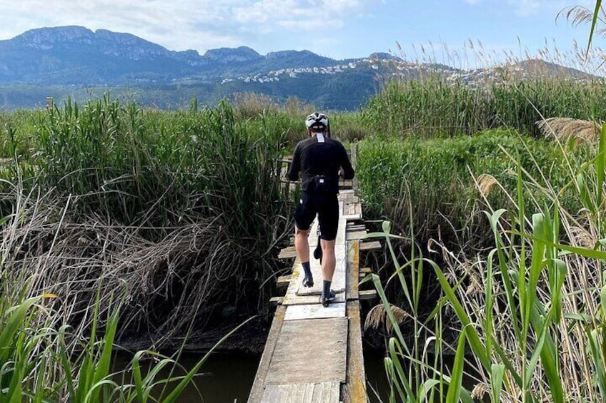 Adventure in the Pego-Oliva Marsh