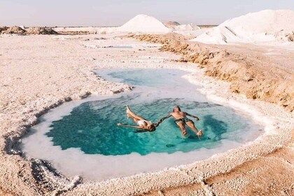 Siwa Oasis Private Tour Dune Bashing Sandboarding and Culture