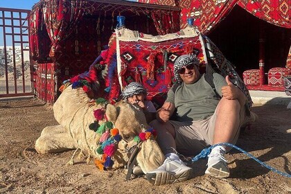 Camel Ride 1 Hour in the Stunning Desert W/Transfer :Marsa Alam