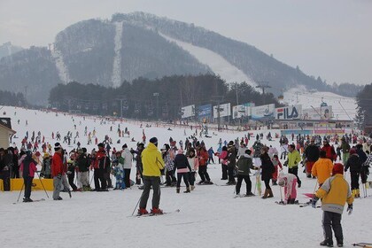 [2-days Private Ski Tour] Pyeongchang Olympic Site (Lift, Clothing & lesson...