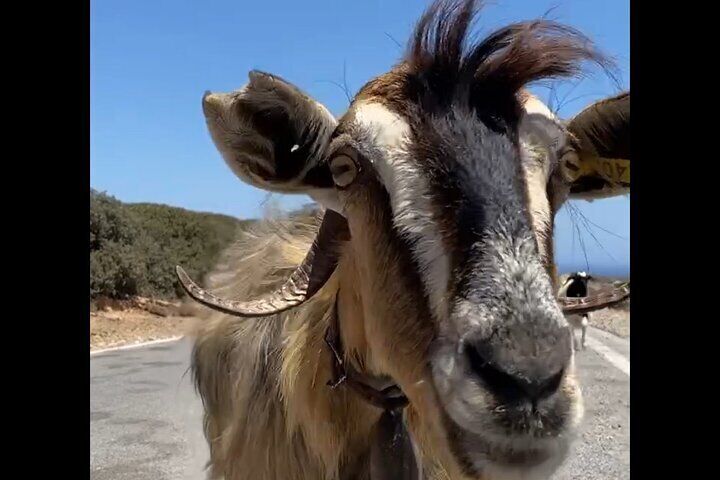 Luxury Off-Road Safari Adventure in Crete