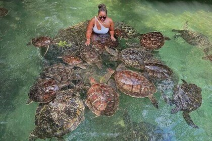 The Magic Journey Tanzania and Zanzibar