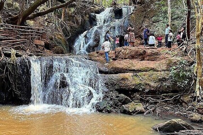 Nairobi Karura Forest Walking Tour