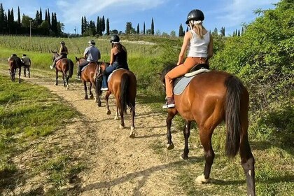 Horse Riding Activity Side