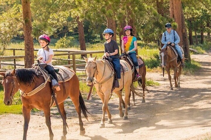 Explore Kemer on Horseback Ride Tour