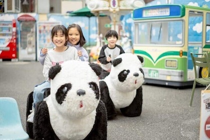 Asakusa Hanayashiki Admission Ticket