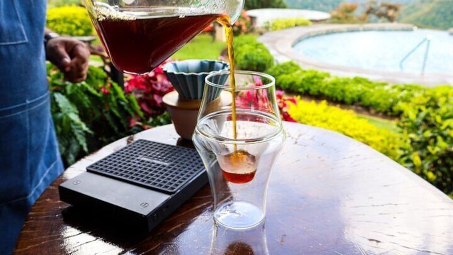 Experiencia de café