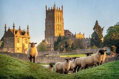Oxford : Cotswolds Tour (Hotel Transport)