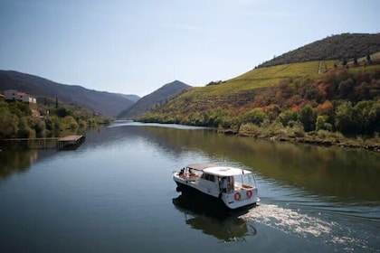 Douro River Cruise from Pinhão with Scenic Train Return