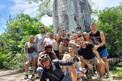 Excursions in Diego Suarez