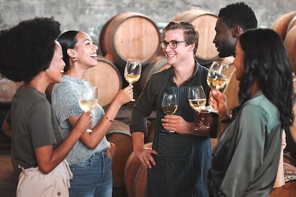 Langhe wine Experience with Lunch from Milan