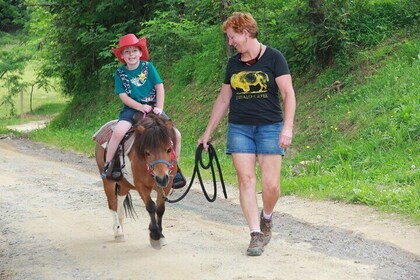 Children Mini Horse Rides