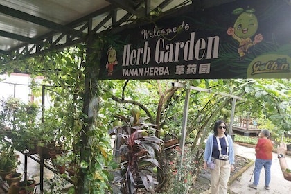 Ipoh Agro Farms and Caves Tour