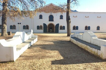 Cape Town the Origins of wine and culture with the cape Colony