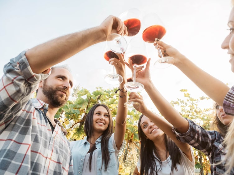 Winery Tour and Tasting in Tinos with the Winemaker