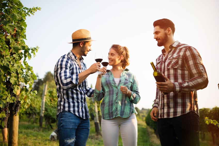 Winery Tour and Tasting in Tinos with the Winemaker