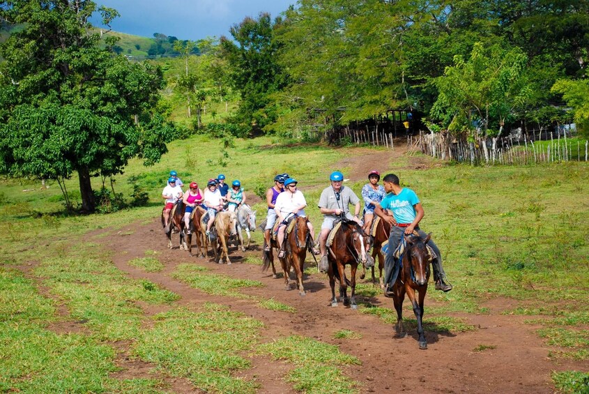 Full Day Supreme Island Safari 