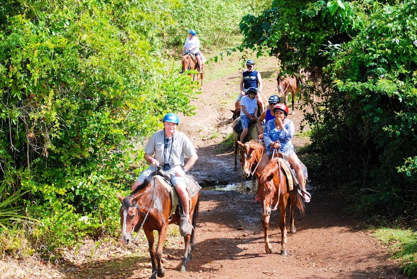 Full Day Supreme Island Safari