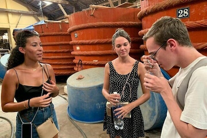 Phu Quoc Southern Highlights Tour with Lunch