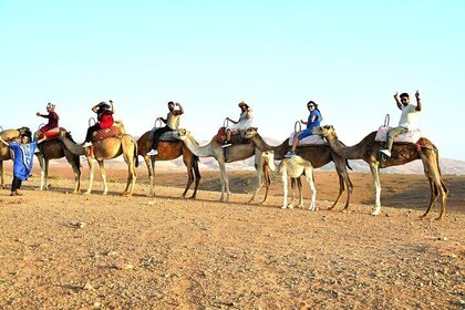 Agafay Desert Marrakech Dinner with Show And Camel Ride
