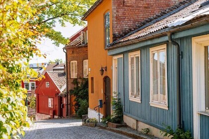 Run Oslo: The Route Locals Wish Tourists Knew