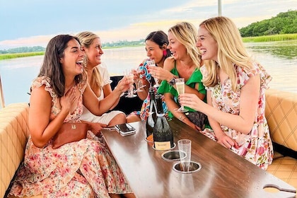 Sunset Private Captained Luxury Electric Boat Charter in Savannah