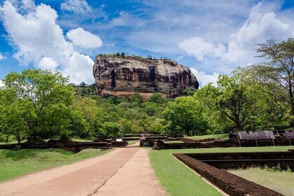 Sigiriya & Dambulla Day Tour with Wildlife Safari from Colombo