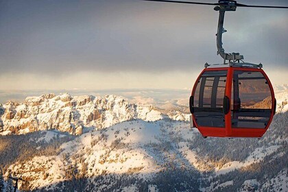 Mt. Rainier tour with Gandola ride at Sunrise and Paradise