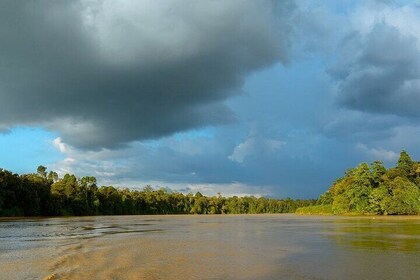 Kinabatangan Wildlife River Cruise 3-Day Tour