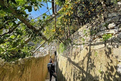 Ravello and Lemon Grove Experience Private Tour from Naples
