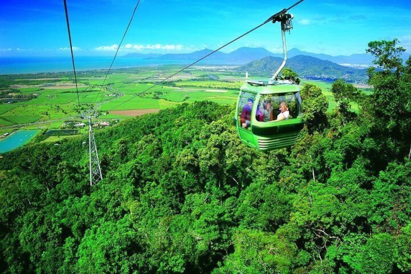 Skyrail Journey