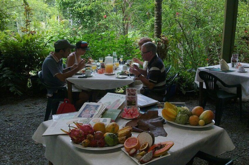 Daintree Tea House