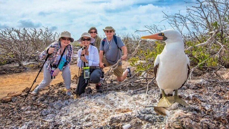 YACHT ISABELA II SEABIRD SANCTUARY EXPEDITION