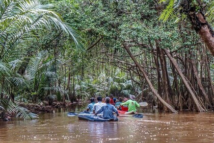 Mangrove Canoeing at Little Amazon Takuapa from Khaolak