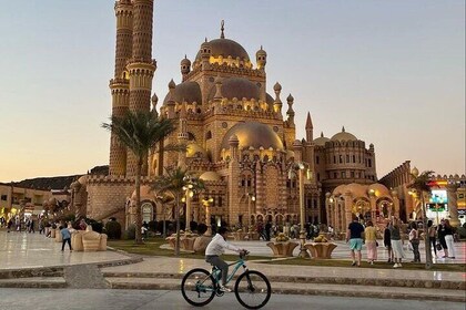 Private City tour, Mosque, Ice Rink, Soho Square -Sharm El Sheikh