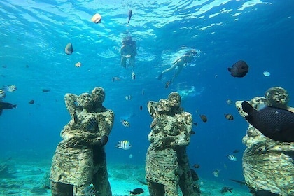 Private Snorkelling 2 Hours Including Go Pro