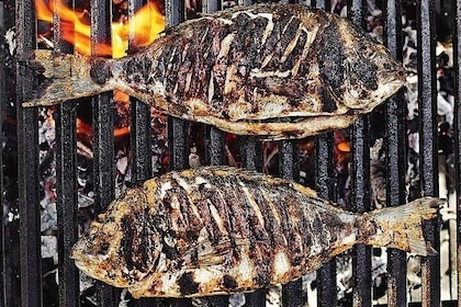 Zakynthos VIP Small Group Fishing Trip Catch and Cook Experience