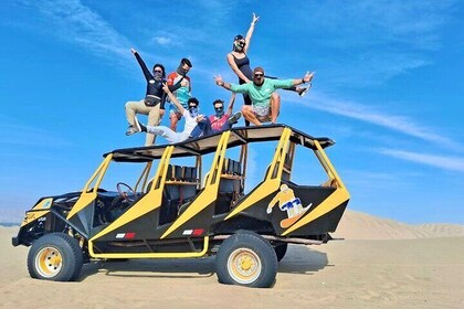 Full day Paracas Huacachina - Departures from Lima