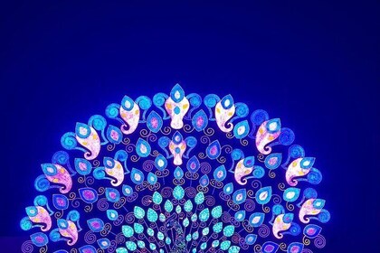 Carnival Magic Night Experience