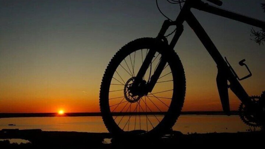 Lake Massaciuccoli Self guided Bike Tour in Pisa