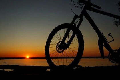 Lake Massaciuccoli Self guided Bike Tour in Pisa