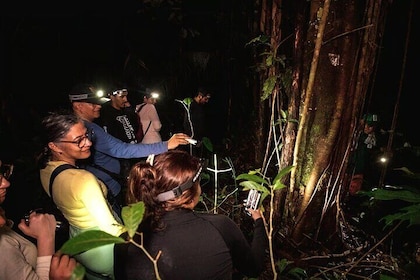 Leticia Safari 2 Days and 1 Night of Jungle and River in Floating House