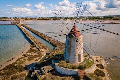 Private Day Trip from Palermo to Segesta, Erice and Salt Pans