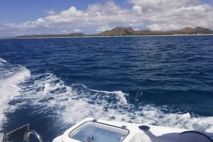 Luxury Private Boat Tour Explore Boa Vista Your Way