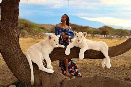 5 Days Wild To Island of Tanzania & Zanzibar + Walking With Lions