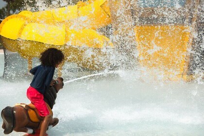 Central Florida River Country Water Park Adventure Pass