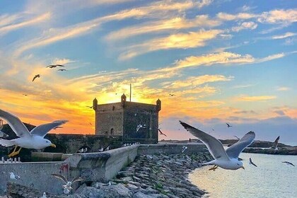 Private Day trip from Marrakech to Essaouira